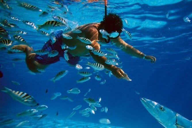 9c Hciendo snorkel en el tour catamarán Cozumel