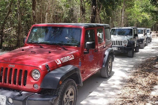tour en jeep privado a Punta Sur