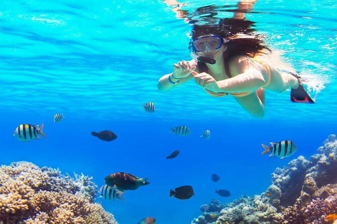 Una turista haciendo snorkel mientras disfruta de las actividades en el Cielo Cozumel