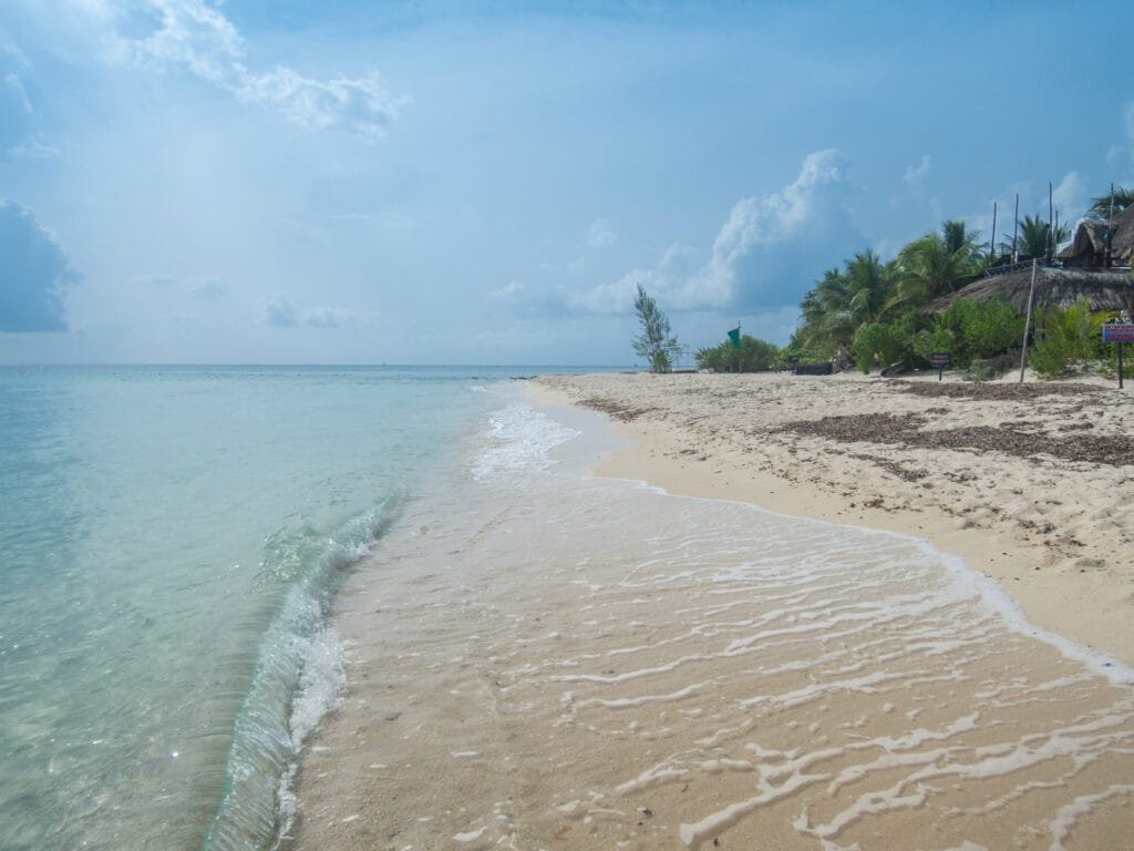 Palancar beach Cozumel Mexico Playa palancar. Cuál es la mejor playa de Cozumel para hacer snorkel.