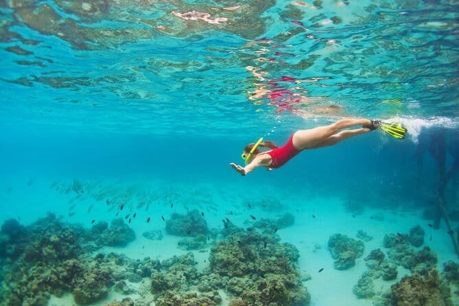 Turista descubriendo cual es el mejor lugar para hacer snorkel en Cozumel