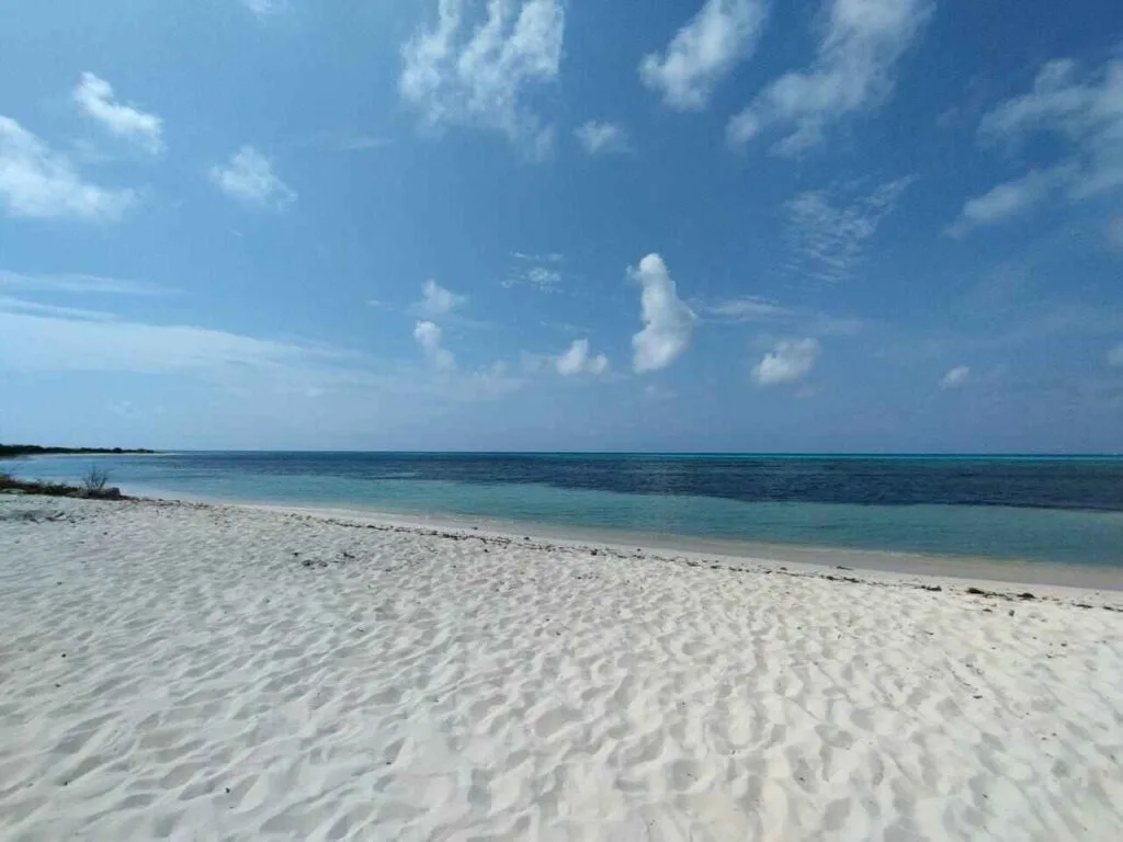 Playa sin sargazo en Cozumel ¿Cúando hay sargazo en cozumel?