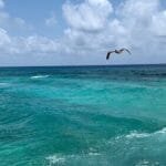 Hermosa vista al mar en los tours Catmarán en Cozumel.