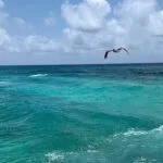Hermosa vista al mar en los tours Catmarán en Cozumel.