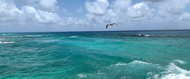 Hermosa vista al mar en los tours Catmarán en Cozumel.