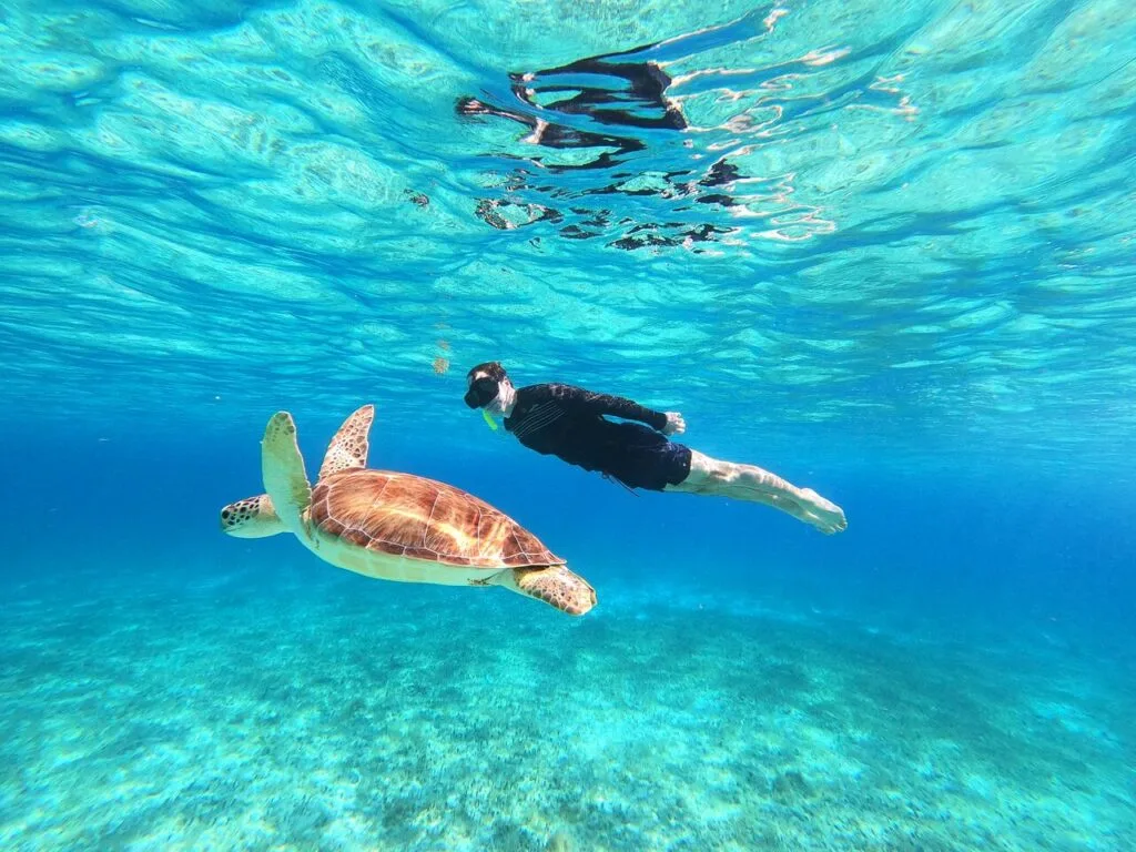 Imagen de snorkel para ilustar Playa del Carmen o Cozumel