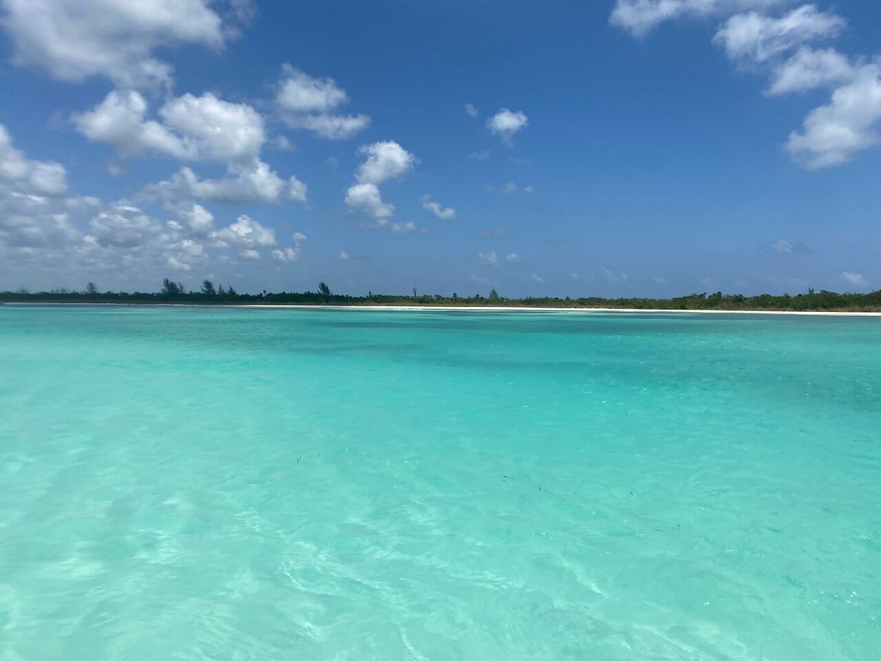 qué hacer en el Cielo Cozumel