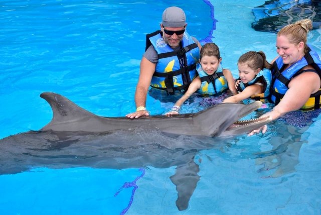 Familia nadando con delfines en Cozumel para saber si es posible nadar con delfines en Cozumel México