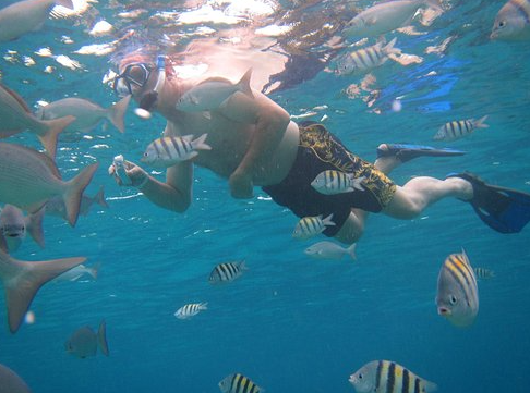 ¿Cozumel es parte de la Riviera Maya? 5 Snorkel en el Cielo Cozumel