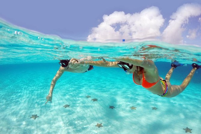 Foto de una pareja haaciend snorkel para ilustrar ¿merece la pena visitar Cozumel desde Playa del Carmen?