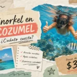 Imagen para ilustrar cuánto cuesta un tour de snorkel en Cozumel