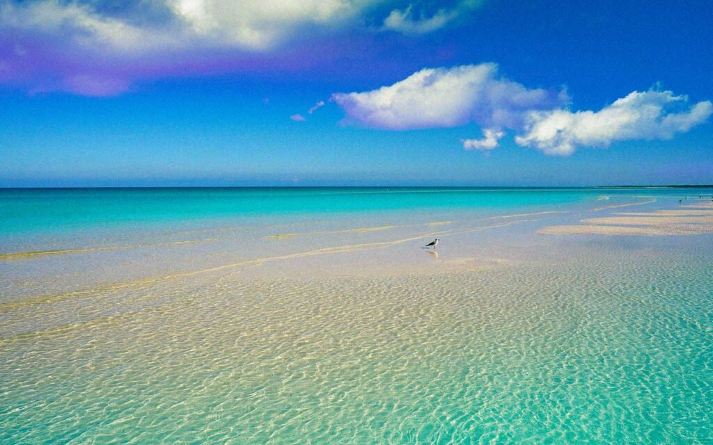 ¿qué lugares conforman el caribe mexicano? Holbox