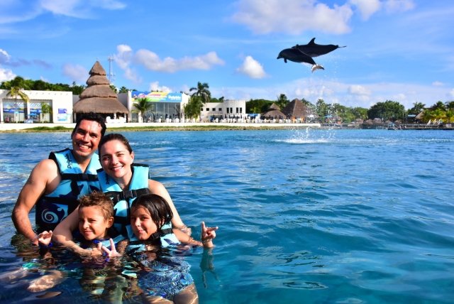 Imagen para ilustrar ¿Dónde nadar con delfines en Cozumel?